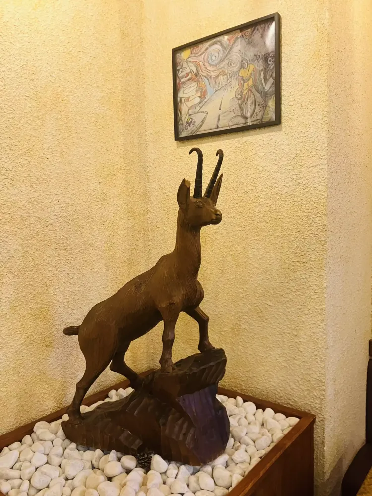 ambiance-chaleureuse